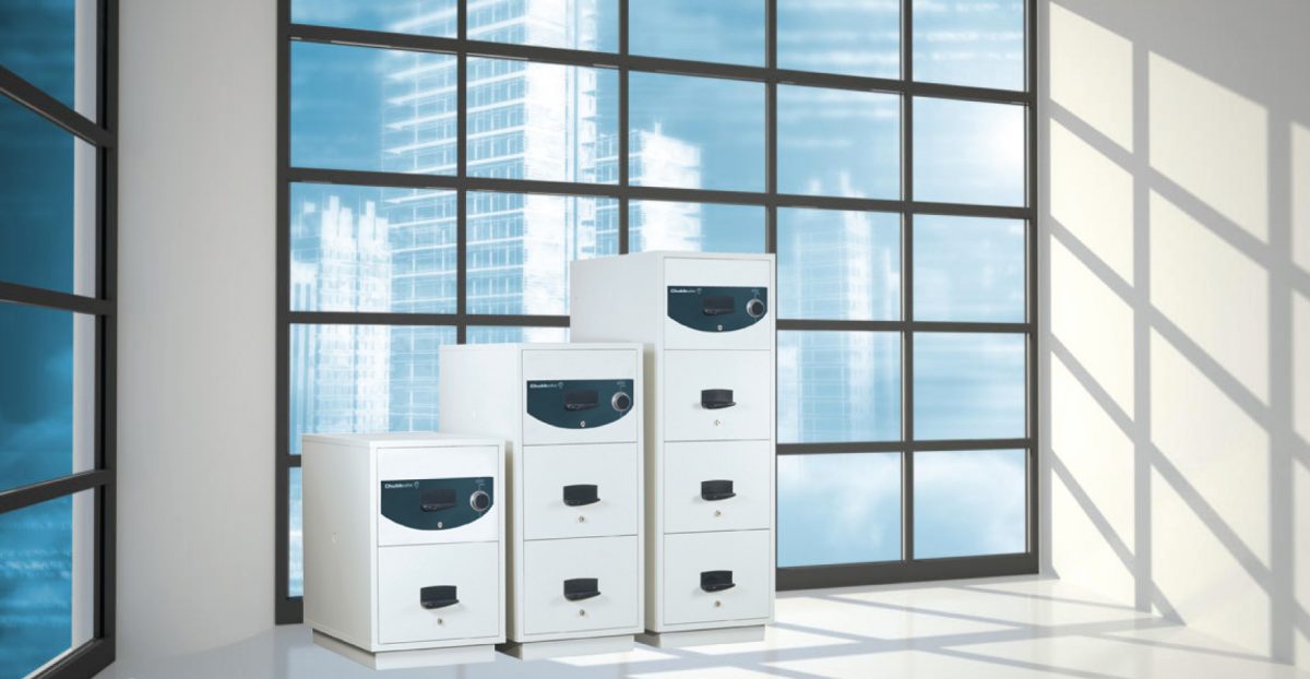 security storage cabinet